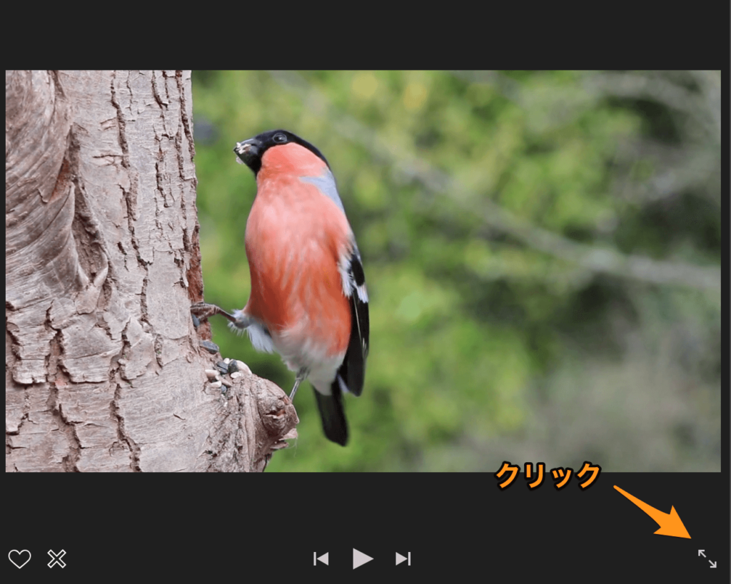 iMovie クリップのフルスクリーン再生